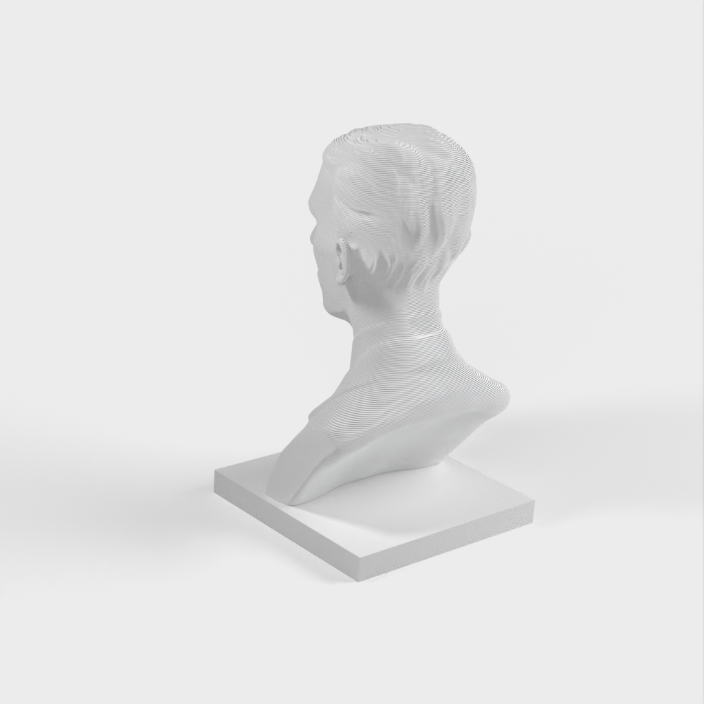 Nikola Tesla bust/statue
