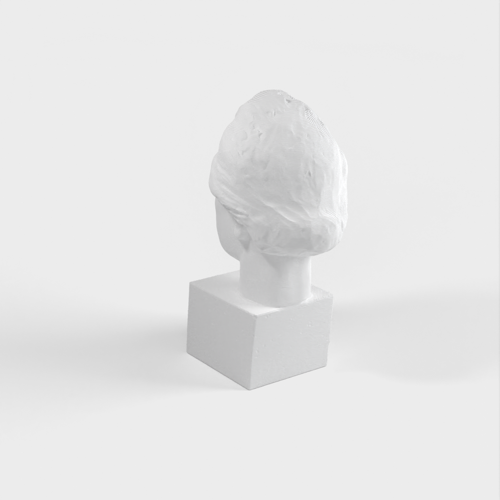 Albert Einstein Bust 3D Scan - Bronze statue for Print