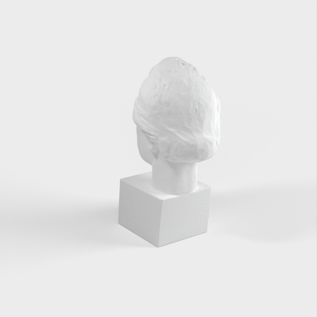 Einstein Bust