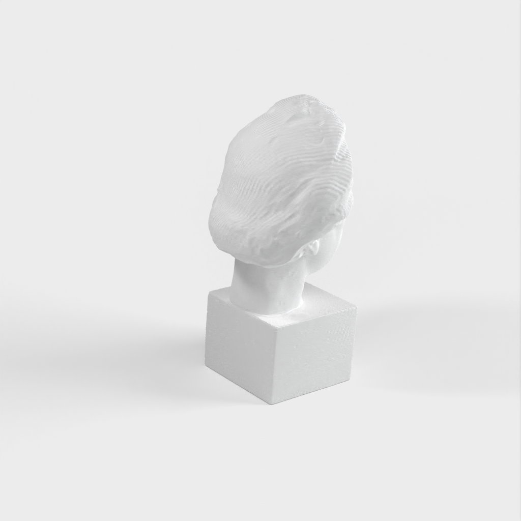 Albert Einstein Bust 3D Scan - Bronze statue for Print