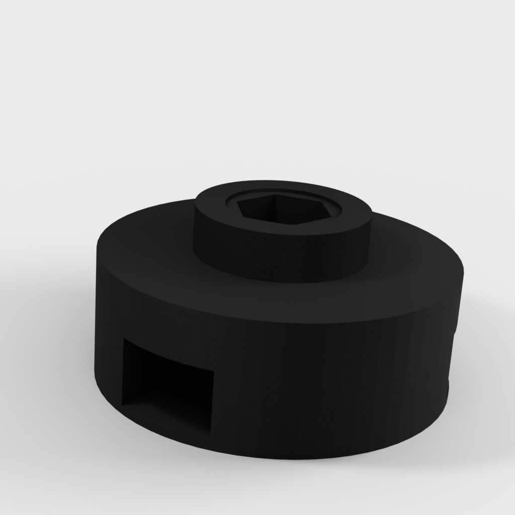 My 3D Model