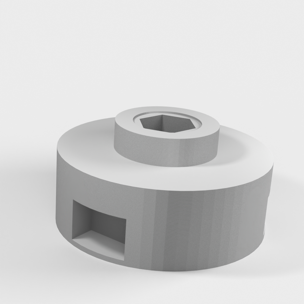 My 3D Model