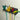 Wall-Mounted Measuring Tape Hooks