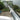 Cable clamp for antennas and masts