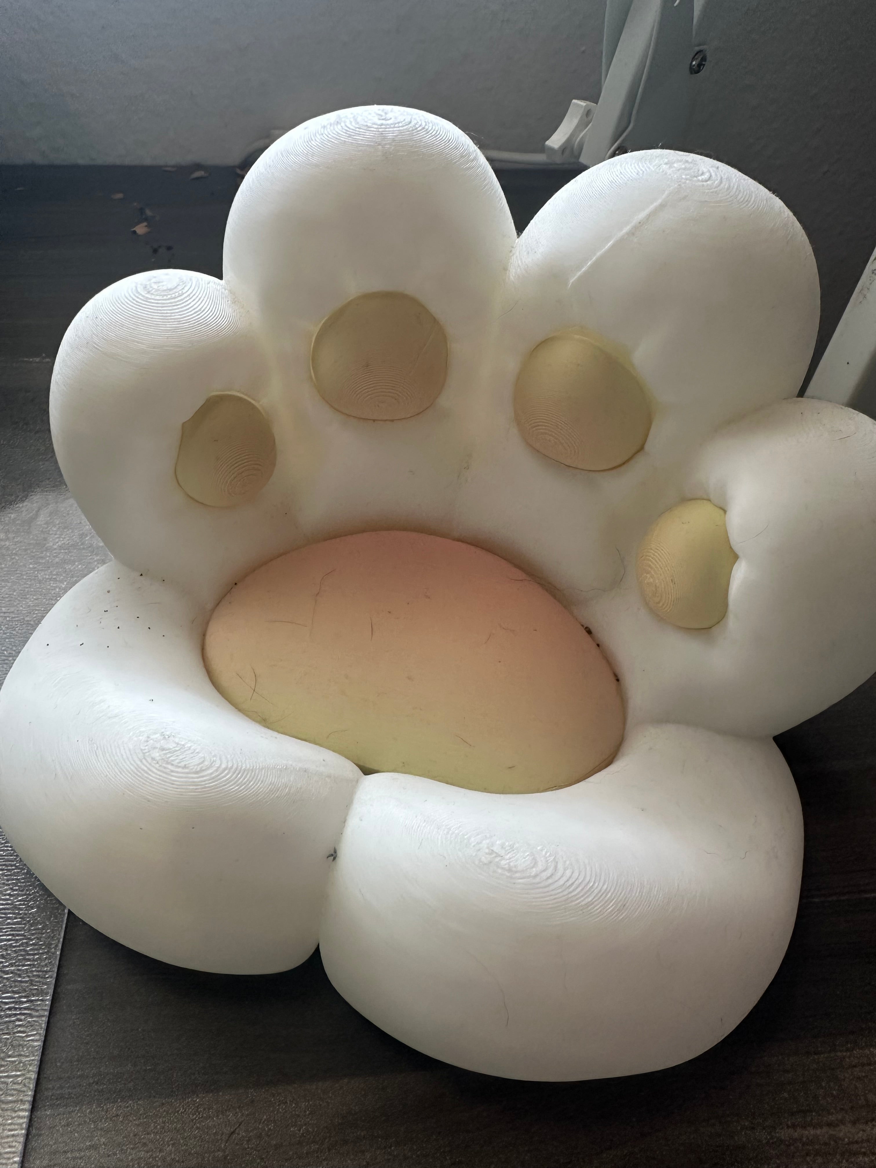 Cute Cat Paw Tray for the Desk