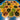 Catan Building Element Set