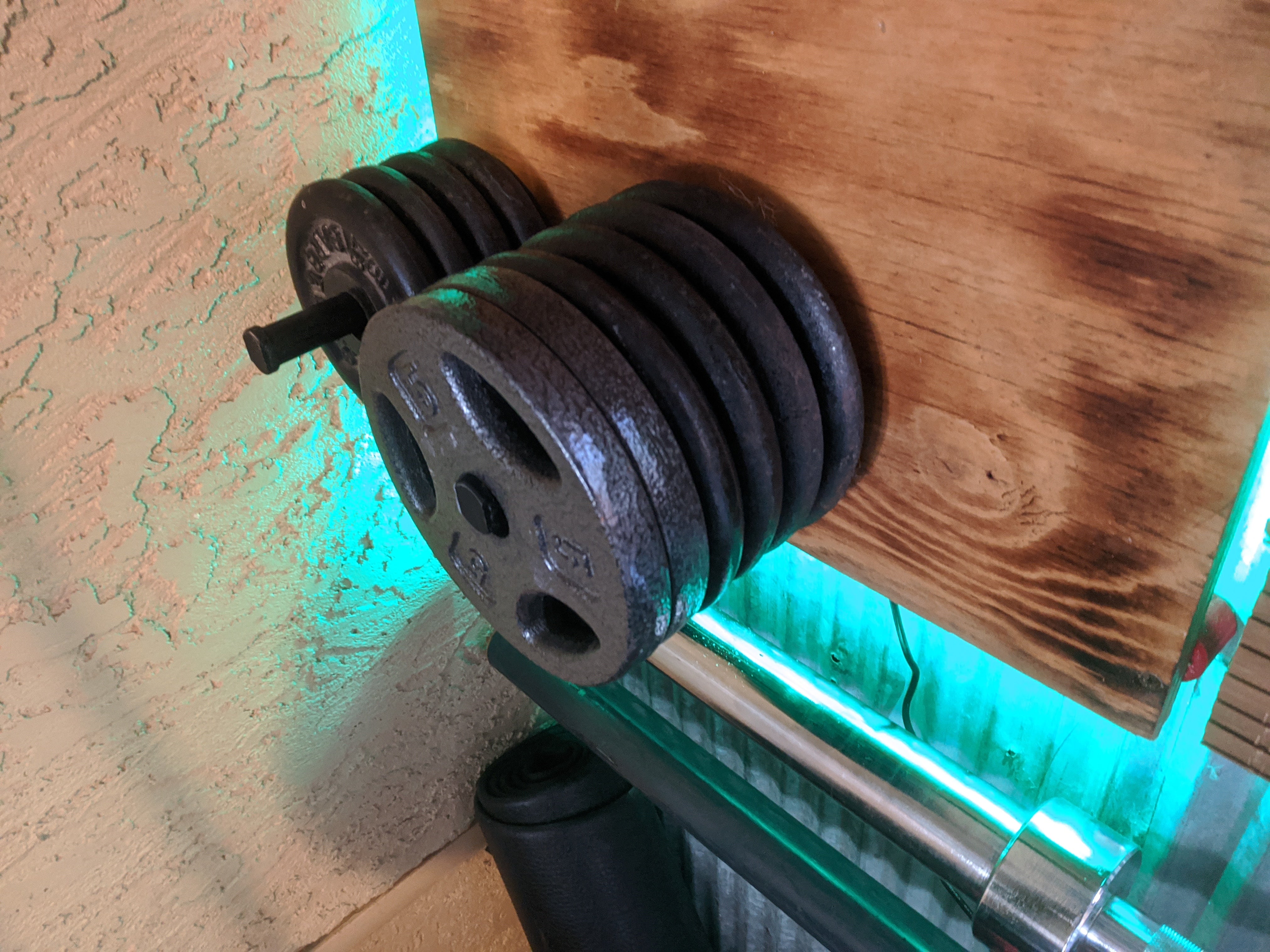 Weight Plate Storage Pin for Wall & Power Rack
