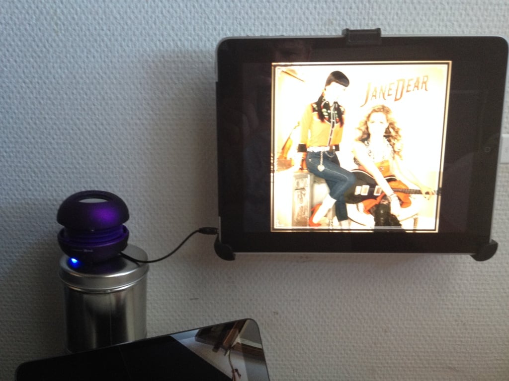 Compact Wall Mount for iPad Speaker