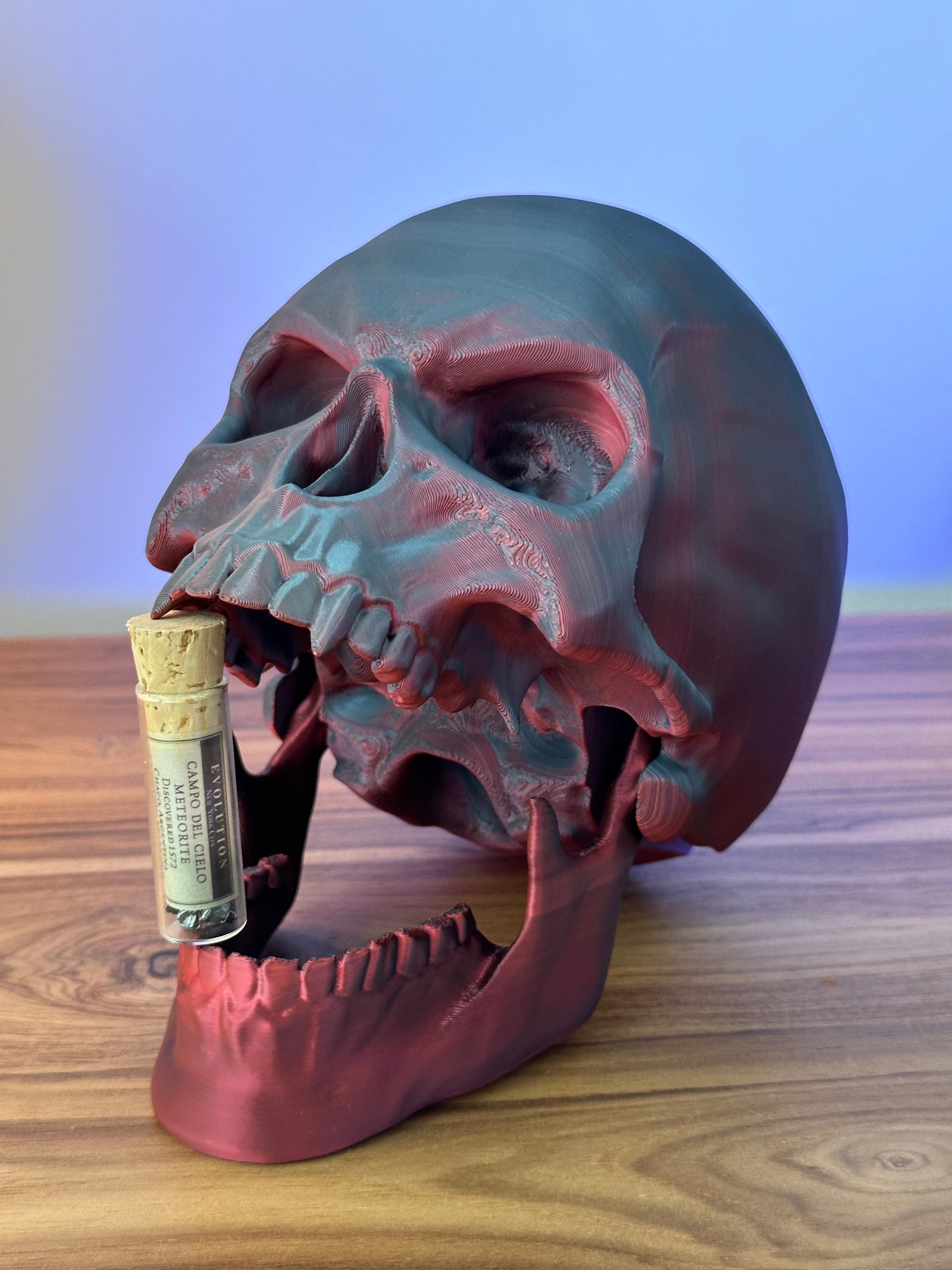 Articulated skulls for Halloween decoration