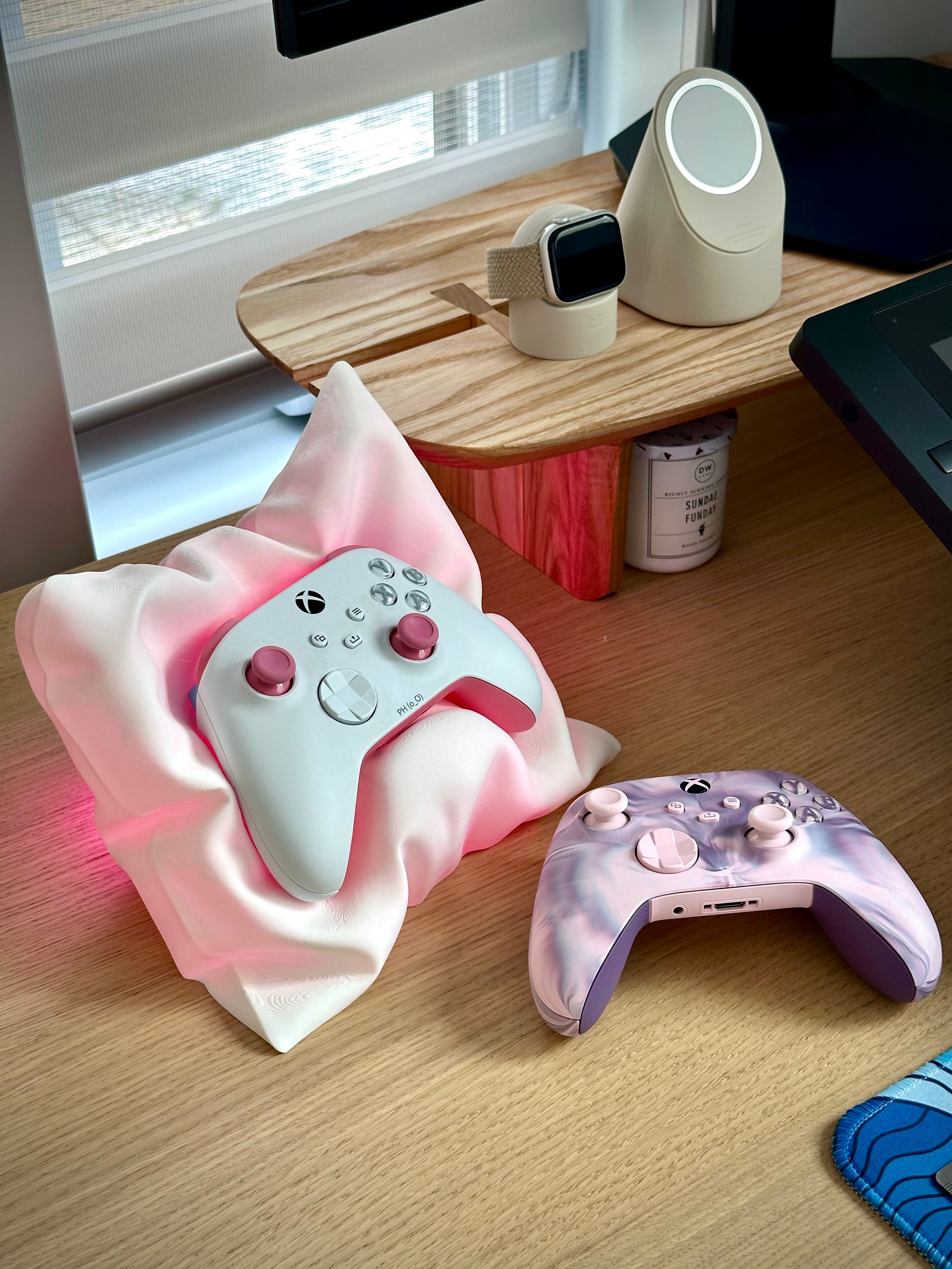 Xbox and Switch Pro Controller Cushion Holder