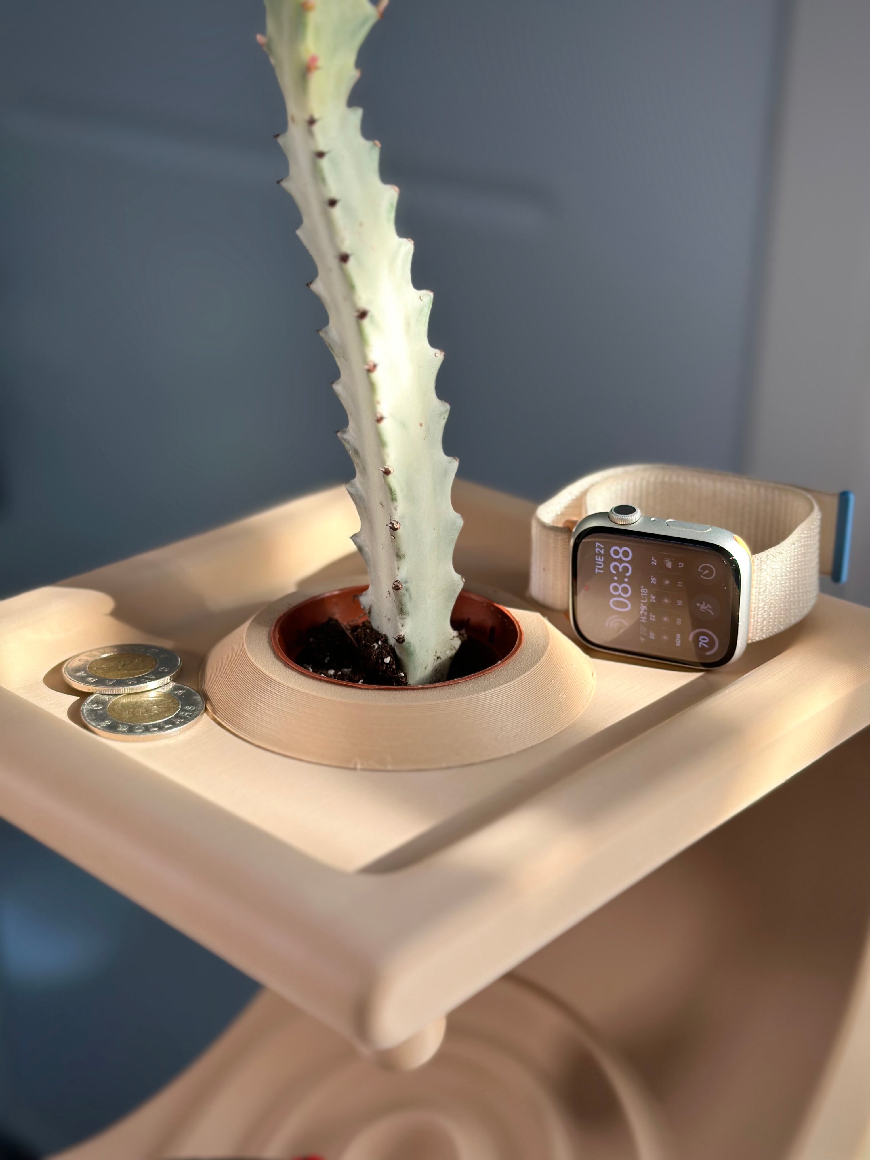 Minimalist Comma Shelf for Small Items and Plants