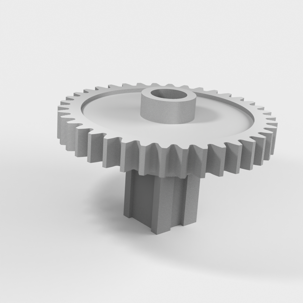 My 3D Model