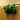 Wall Mount for JBL Flip 4 Speaker