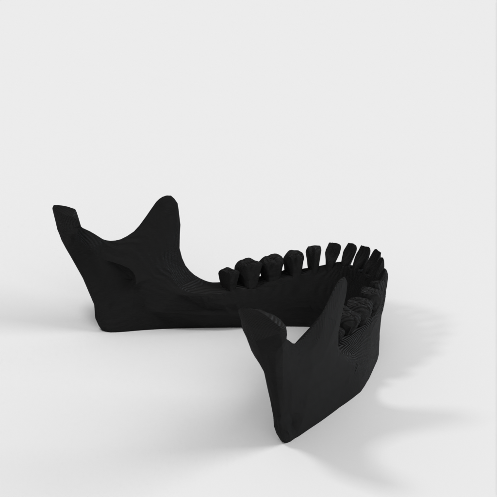 Jaw iPad Stand: Human Jaw Model and iPad Holder