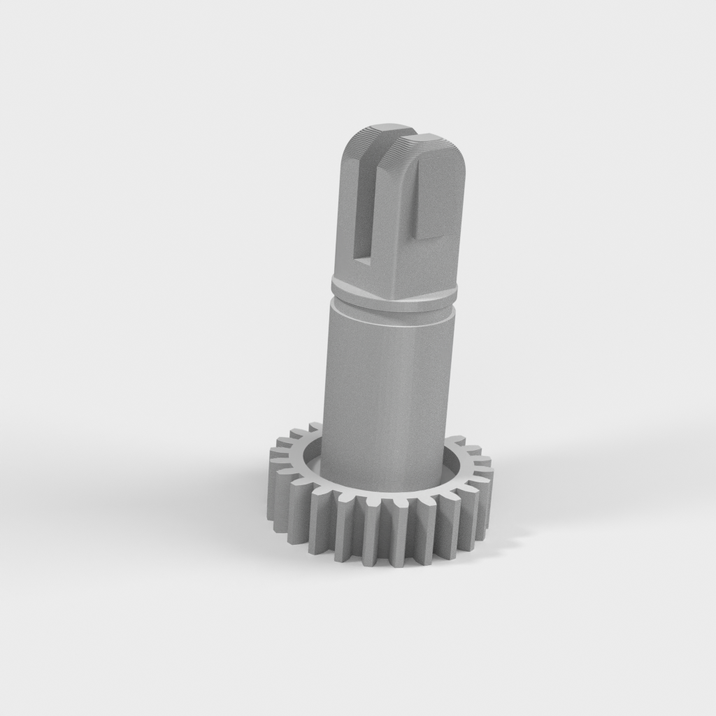 My 3D Model
