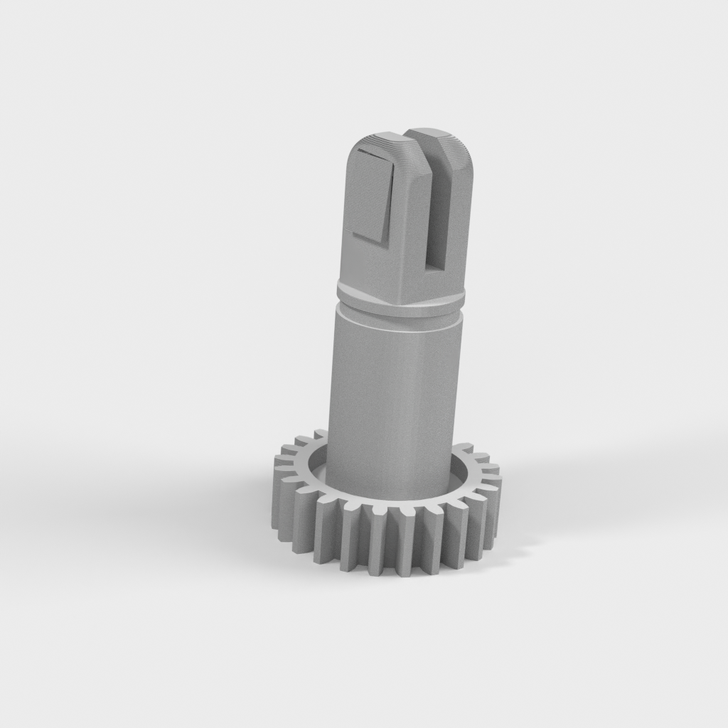 My 3D Model