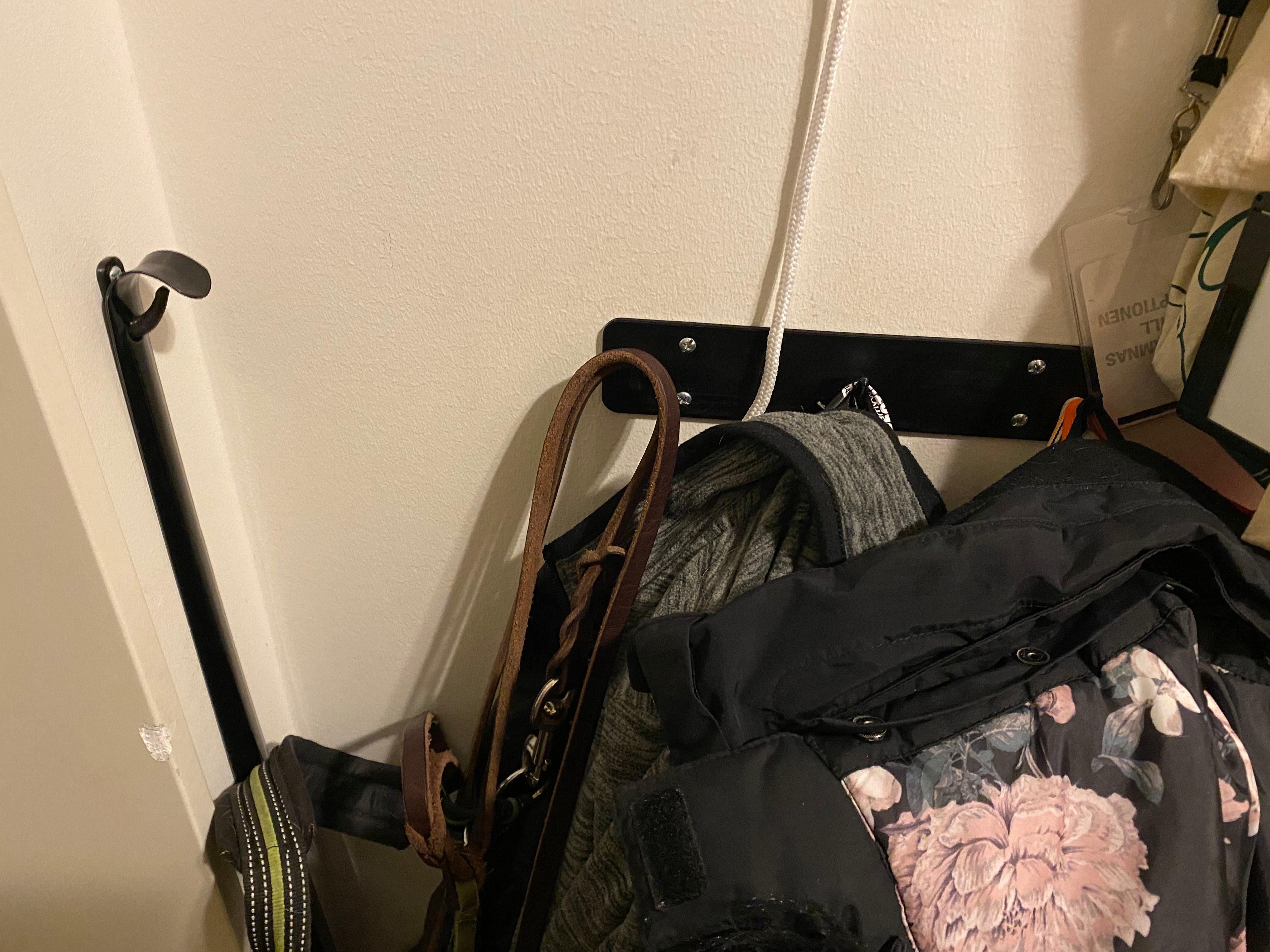 Wall-mounted hook for clothes and shoe horn