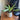 Mid Century Modern Plantepotte med drypbakke