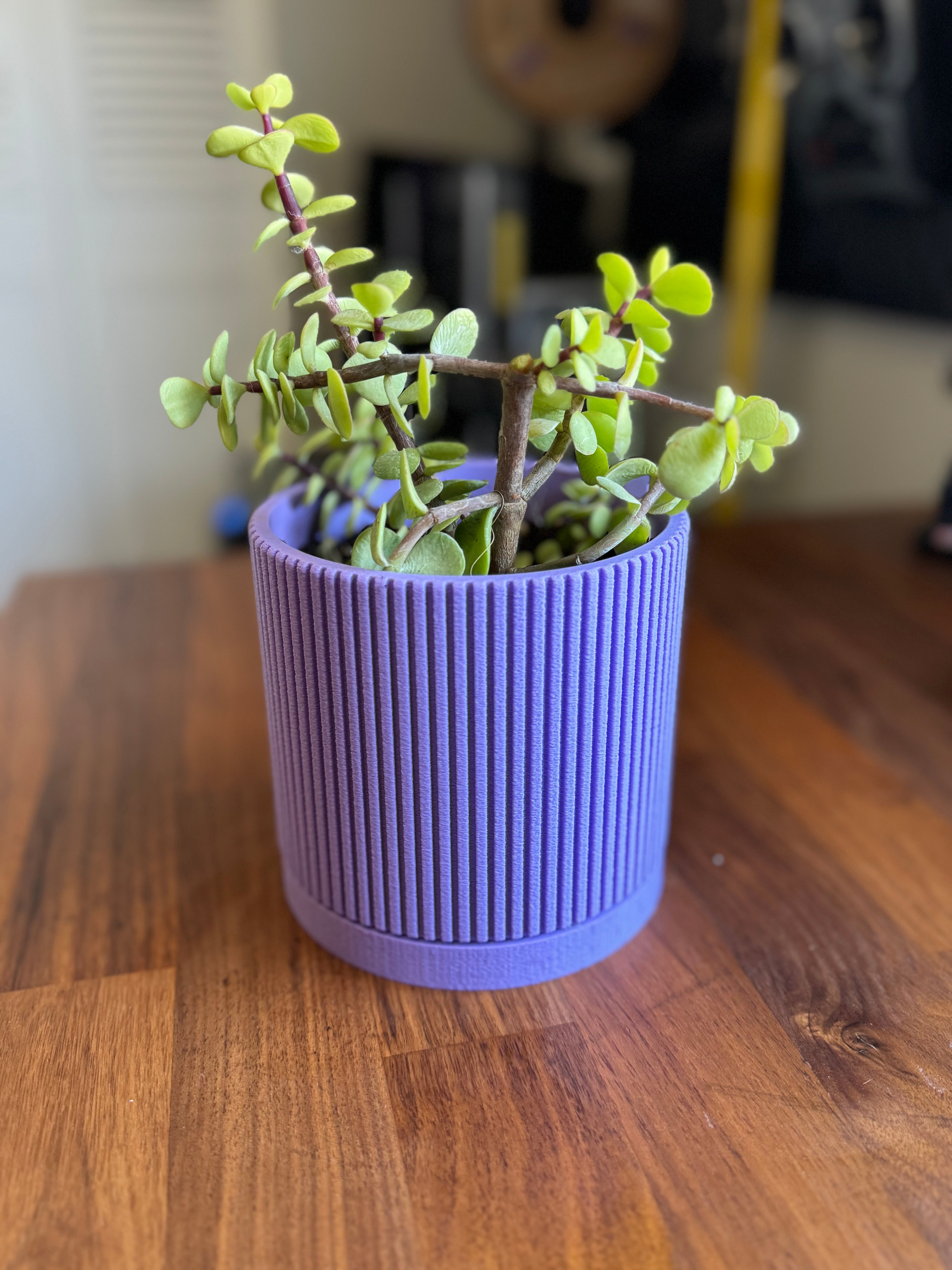 Mid Century Modern Plant Pot with Drip Tray - Linear Grooves