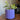 Mid Century Modern Plant Pot med Drypbakke - Liniære Riller