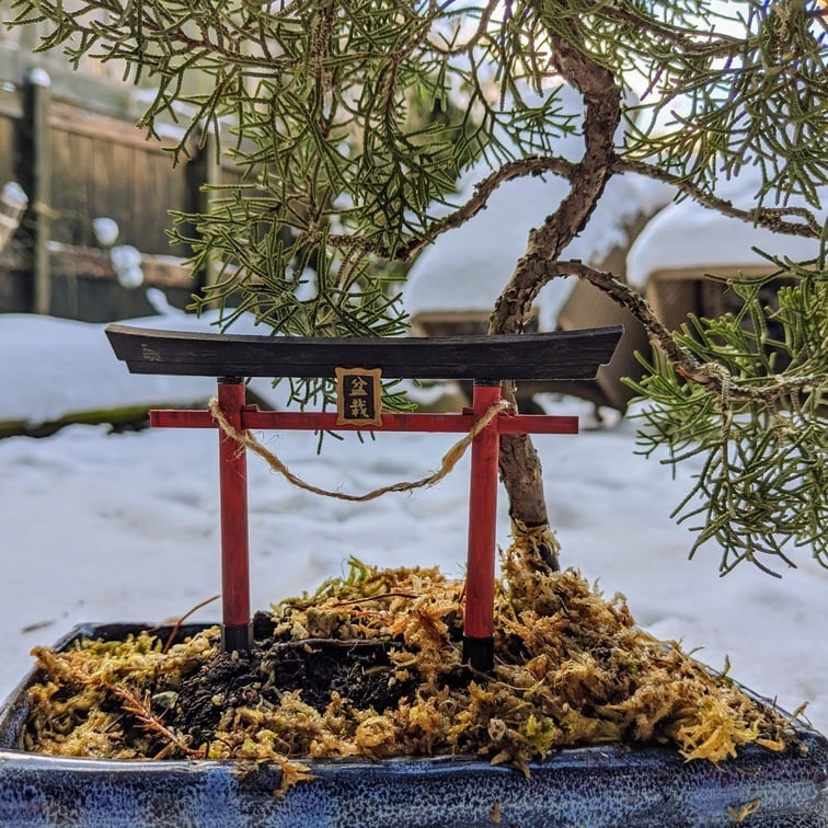Inari Torii Gate for Bonsai