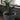 Grundlæggende Plante Pot