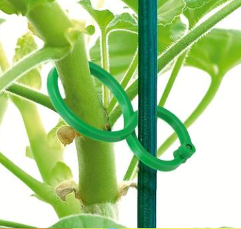 Practical Plant Clips for Climbing Plants