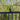 Sikker Fugle Landingsplads - Bird Rail Perch