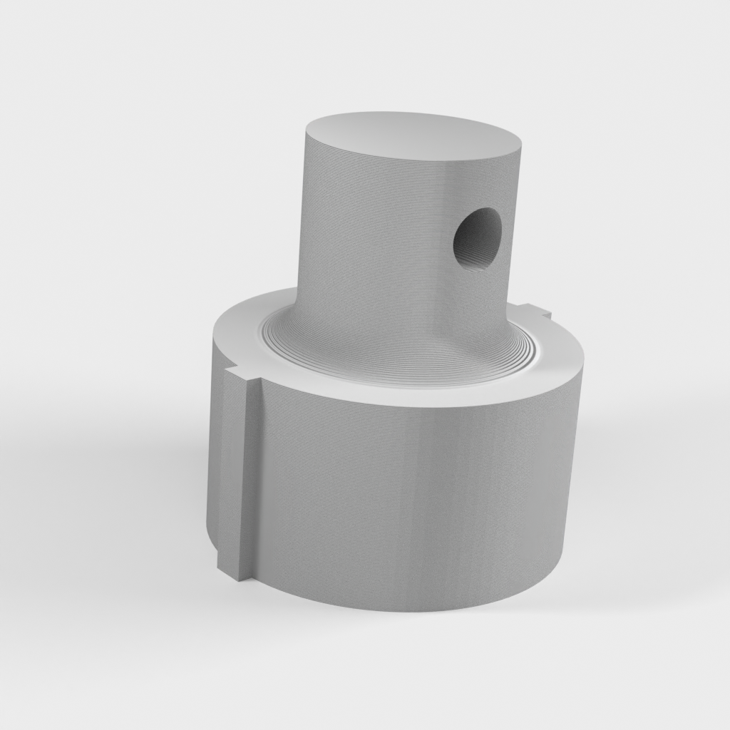 My 3D Model