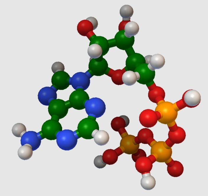 Molecular Model - ATP (Adenine TriPhosphate) - Atomic Scale Model