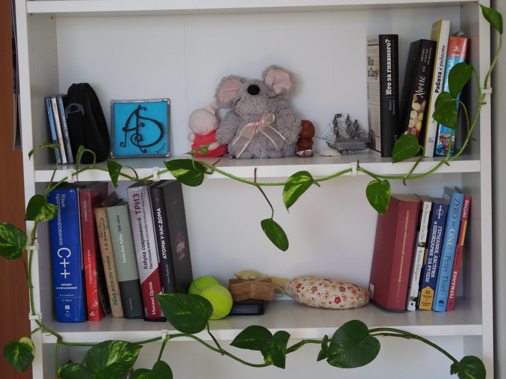 Wall hanging for Ivy plant on Ikea Gersby shelf