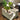 Flower pot (with hidden drainage holes and water tray)