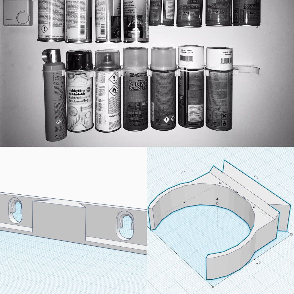 Modular wall mounting system for spray cans