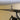 Wall-mounted holder for fishing rods