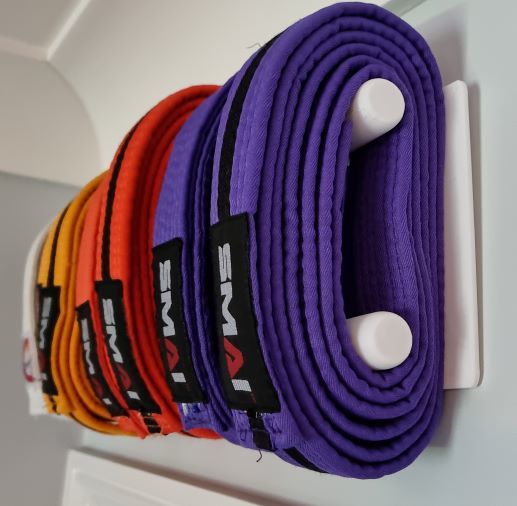 Hanger for Karate belts